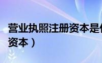 营业执照注册资本是什么意思（营业执照注册资本）