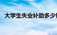 大学生失业补助多少钱（大学生失业补助）
