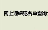网上通缉犯名单查询公安网（网上通缉犯）