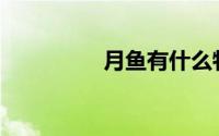 月鱼有什么特点怎么养？