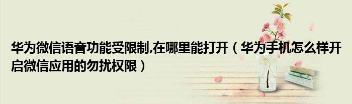 华为微信语音功能受限制,在哪里能打开（华为手机怎么样开启微信应用的勿扰权限）