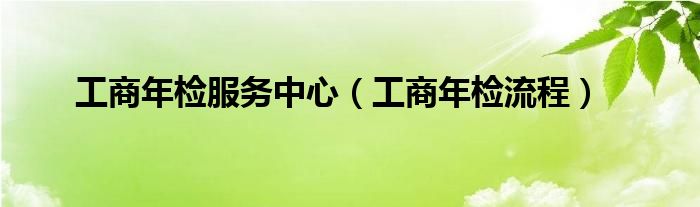 工商年检服务中心（工商年检流程）