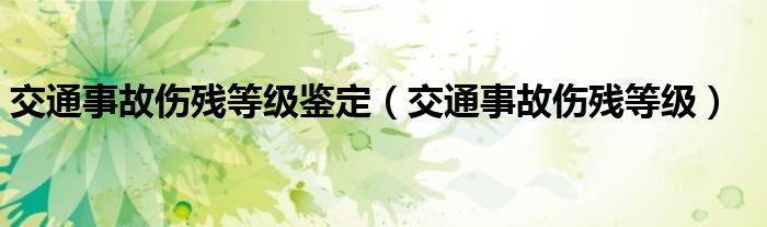 交通事故伤残等级鉴定（交通事故伤残等级）