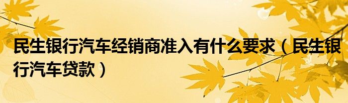 民生银行汽车经销商准入有什么要求（民生银行汽车贷款）