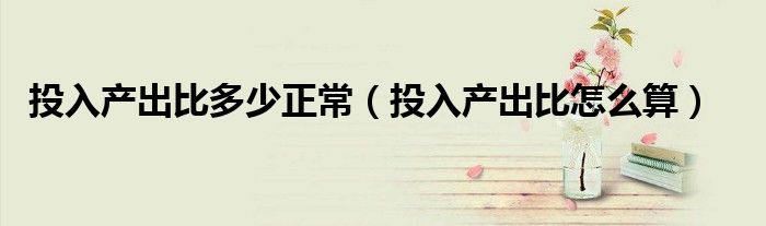 投入产出比多少正常（投入产出比怎么算）
