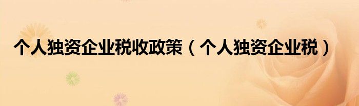 个人独资企业税收政策（个人独资企业税）