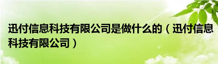 迅付信息科技有限公司是做什么的（迅付信息科技有限公司）
