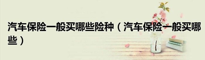 汽车保险一般买哪些险种（汽车保险一般买哪些）