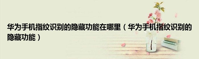 华为手机指纹识别的隐藏功能在哪里（华为手机指纹识别的隐藏功能）
