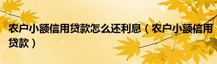 农户小额信用贷款怎么还利息（农户小额信用贷款）