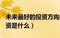 未来最好的投资方向是什么（未来最好的投资是什么）