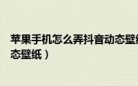 苹果手机怎么弄抖音动态壁纸教程（苹果手机怎么弄抖音动态壁纸）