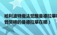 哈利波特魔法觉醒曼德拉草哪里找（哈利波特魔法觉醒不用管哭啼的曼德拉草在哪）