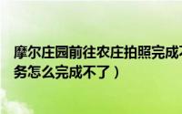 摩尔庄园前往农庄拍照完成不了（摩尔庄园手游农庄拍照任务怎么完成不了）