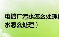 电镀厂污水怎么处理镍怎么处理呢（电镀厂污水怎么处理）