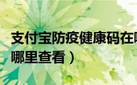 支付宝防疫健康码在哪（支付宝防疫健康码在哪里查看）
