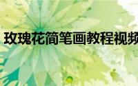 玫瑰花简笔画教程视频（玫瑰花简笔画教程）