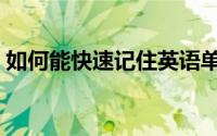 如何能快速记住英语单词（如何能快速祛斑）