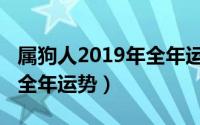 属狗人2019年全年运势详解（属狗2019年的全年运势）