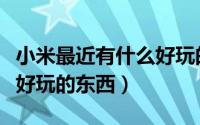 小米最近有什么好玩的东西（小米究竟有什么好玩的东西）
