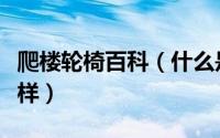 爬楼轮椅百科（什么是爬楼轮椅爬楼轮椅怎么样）