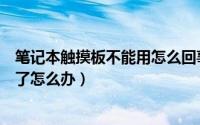 笔记本触摸板不能用怎么回事（笔记本电脑触摸板不能使用了怎么办）