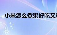 小米怎么煮粥好吃又养胃（小米怎么煮粥）