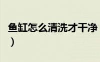 鱼缸怎么清洗才干净（鱼缸怎样清洗干净透亮）