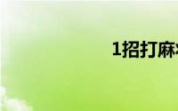 1招打麻将赢绝技
