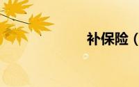 补保险（补保险）