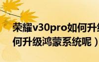 荣耀v30pro如何升级鸿蒙（荣耀v30pro如何升级鸿蒙系统呢）
