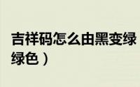 吉祥码怎么由黑变绿（吉祥码如何从黑色变成绿色）
