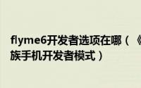 flyme6开发者选项在哪（《最详细》如何在Flyme6找到魅族手机开发者模式）