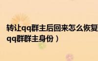 转让qq群主后回来怎么恢复群主身份（如何申请恢复转让的qq群群主身份）
