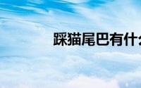 踩猫尾巴有什么危害（踩猫）
