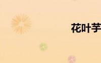 花叶芋怎么养