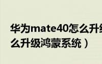 华为mate40怎么升级鸿蒙（华为Mate40怎么升级鸿蒙系统）