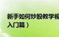 新手如何炒股教学视频（新手如何炒股——入门篇）