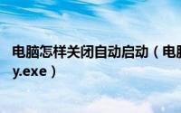 电脑怎样关闭自动启动（电脑开机后如何关闭自动启动rstray.exe）