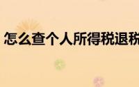 怎么查个人所得税退税（怎么查个人所得税）
