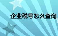 企业税号怎么查询（企业税号怎么查）