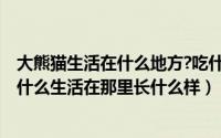 大熊猫生活在什么地方?吃什么?（中国大熊猫有什么习性吃什么生活在那里长什么样）