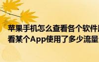 苹果手机怎么查看各个软件用了多少流量（苹果手机怎么查看某个App使用了多少流量）