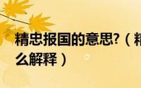 精忠报国的意思?（精忠报国的意思是什么怎么解释）
