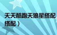 天天酷跑天狼星搭配（天天酷跑冰魄狼王怎么搭配）