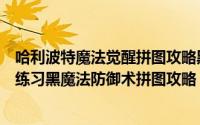 哈利波特魔法觉醒拼图攻略黑洞洞（哈利波特魔法觉醒实地练习黑魔法防御术拼图攻略）
