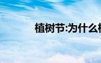 植树节:为什么植树是公民义务