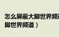怎么屏蔽大脚世界频道广告内容（怎么屏蔽大脚世界频道）
