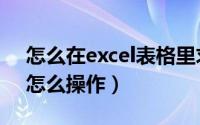 怎么在excel表格里求和（在excel表格求和怎么操作）