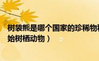 树袋熊是哪个国家的珍稀物种（树袋熊是哪个国家的珍贵原始树栖动物）